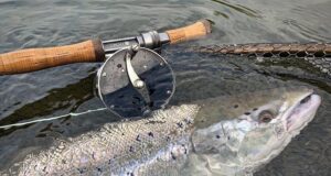 Mount Falcon reports best week’s fishing since 2010!