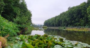 Coarse fishing round up