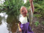 River Ilen fished well last weekend despite low water sea trout