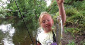 sea trout