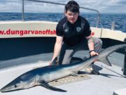 Nice blues for Dungarvan Offshore Charters