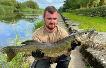 pike