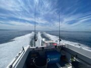 Burst of sun puts bend in rods in Cork Harbour