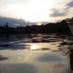 The sedge hour
