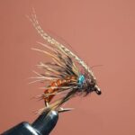 a Sedge pupae