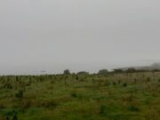 No fish to report from Currane, just mist and fog A foggy scene on Lough Currane