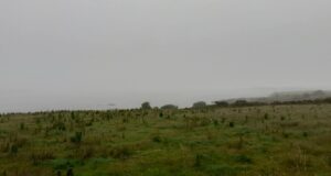 No fish to report from Currane, just mist and fog A foggy scene on Lough Currane