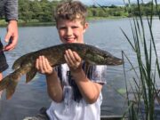 Noah works hard for his first pike pike