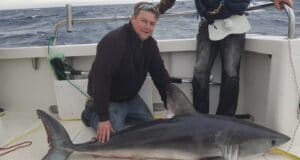 Blue sharks and porbeagle for West Cork Charters