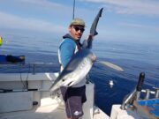 Great blue shark fishing out of Courtmacsherry