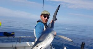 Great blue shark fishing out of Courtmacsherry