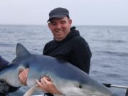 Good shark fishing continues for Wicklow Boat Charters Blue shark