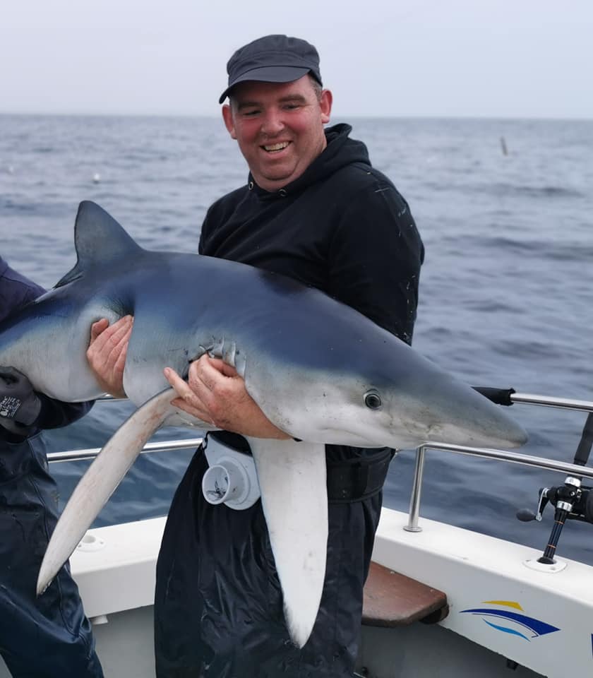 Good shark fishing continues for Wicklow Boat Charters