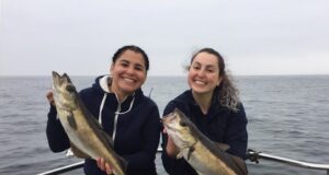 Clare coast charter boats getting good ground fishing and sharks A fine pair of pollack from a Clare coast reef on the Clare Dragoon