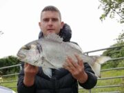 PB Gilthead for Christopher