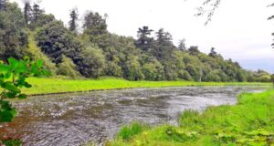 Salmon fishing just ticking over on the Boyne