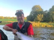 salmon