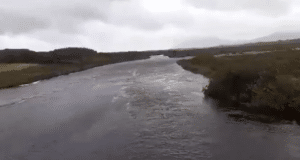 A good flood on the Inny