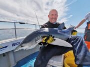 Blues are back at Wicklow