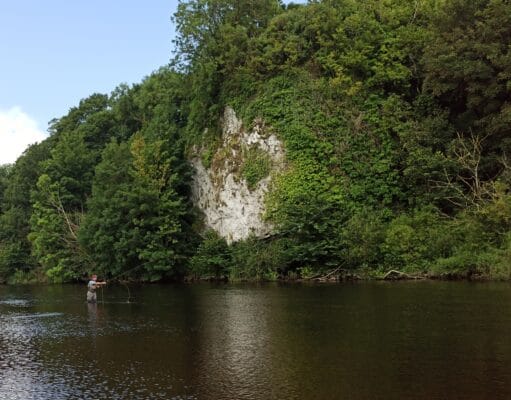 Irish Angling Update – 20th August 2020