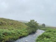 A little bit of salmon news from Donegal’s Glen River The Glen River in Doengal