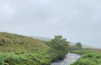 A little bit of salmon news from Donegal’s Glen River The Glen River in Doengal
