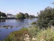 Did you apply for a River Lee brown tag? Draw results here River Lee