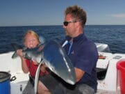 More blue sharks for Amy’s Fishing Adventures Amy and shark