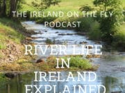 Ireland on the Fly Podcast: River Life in Ireland Explained Ireland on the Fly