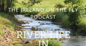 Ireland on the Fly