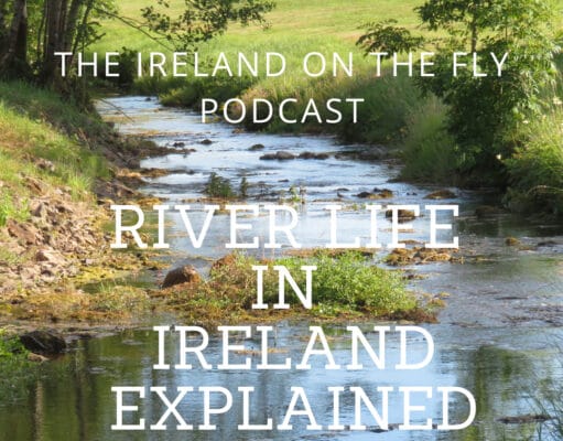 Ireland on the Fly