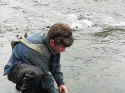 Excellent period for angling on the Moy