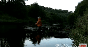 Salmon on the surface for Mr Kingfisher