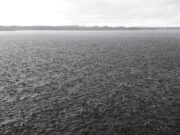 Trout on Sheelin for those fishing dry between downpours