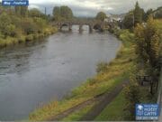 Foxford Salmon Anglers River Moy Report w/e 16th August
