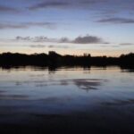 Sedge water