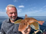 Charter boat fishing shaping up well after slow start at Downings Tub Gurnard