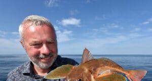Tub Gurnard