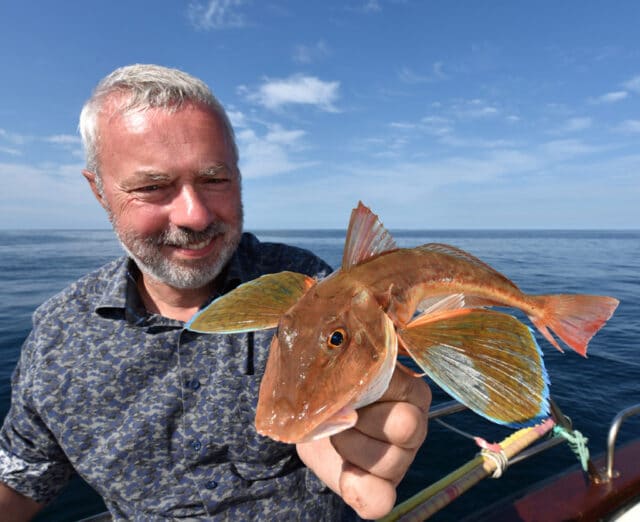 Tub Gurnard