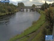 Foxford Salmon Anglers River Moy Report w/e 9th August