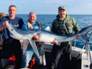 Dungarvan boats in the thick of some top angling