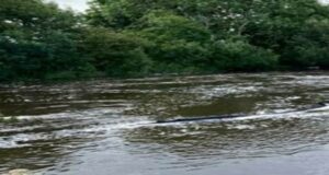 ilen in flood