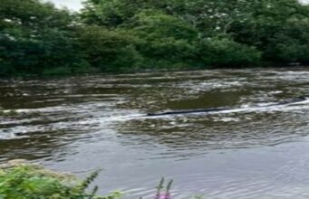 Salmon anglers enjoy decent floods across West Cork ilen in flood