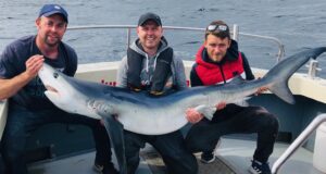 Great Bank Holiday sharking in Dungarvan