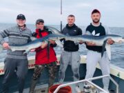 First timers come good in Dungarvan