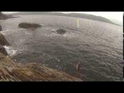 Amy’s Fishing Adventures – Wrestling Wrasse from the Rocks