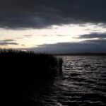 sedge time on Lough Sheelin