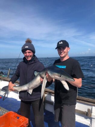 Blue shark on Lady Gwen II