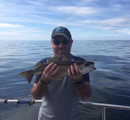 Pollack on the Clare Dragoon