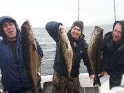 Big pollock in good numbers for Fiona T in Killybegs